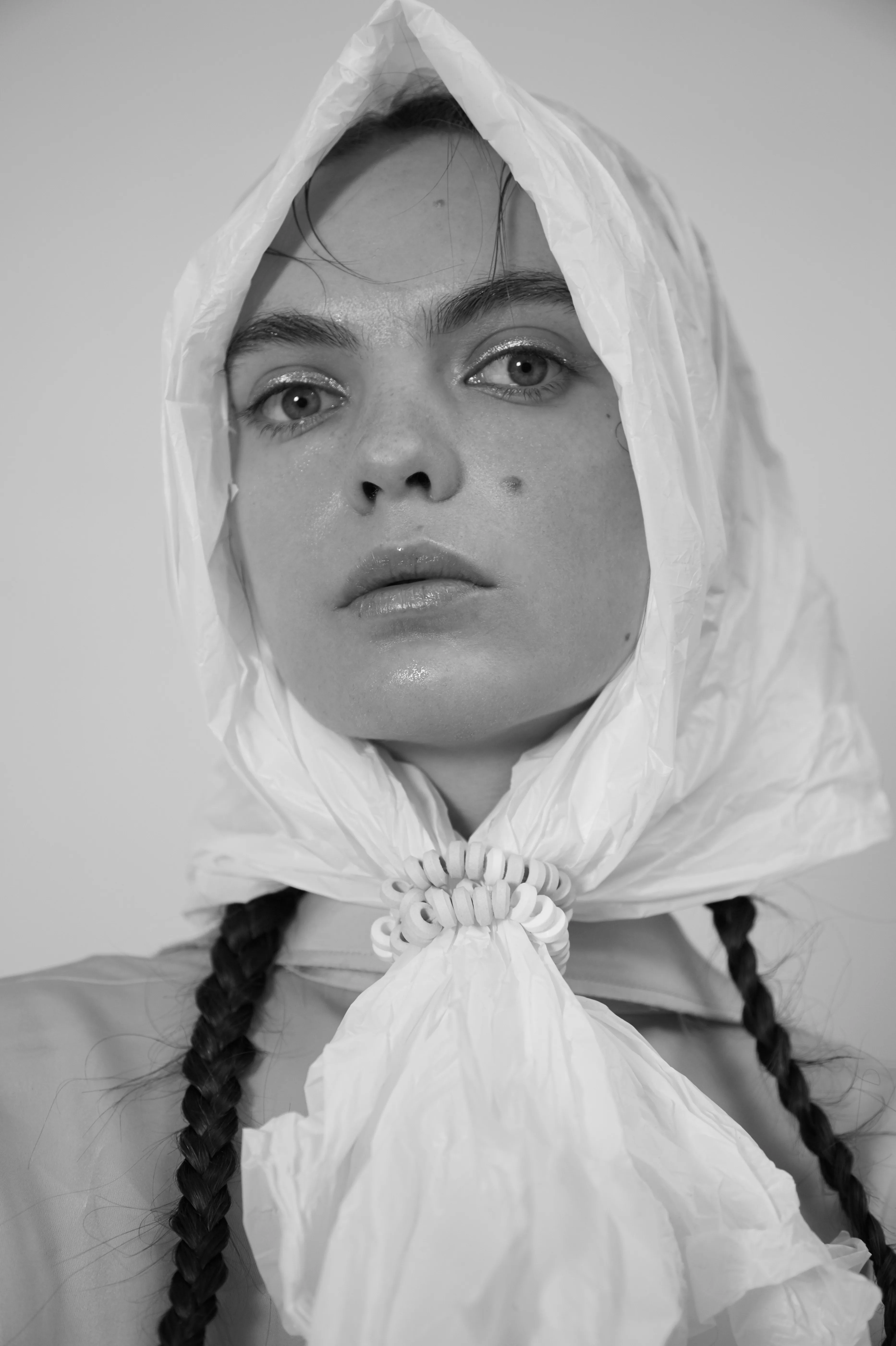 Photograph 7